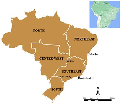 Environmental injustice in the privatization of Brazilian sanitation: an empirical analysis